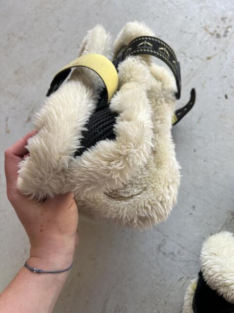 ensemble veredus moutons