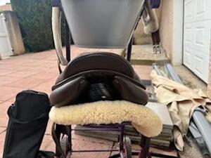 Selle italienne suprème modèle évolution