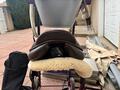 Selle italienne suprème modèle évolution