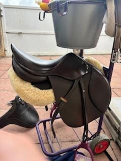 Selle italienne suprème modèle évolution