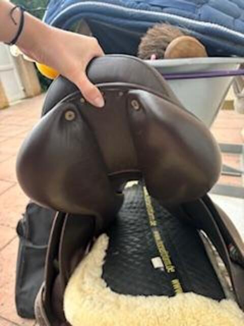 Selle italienne suprème modèle évolution