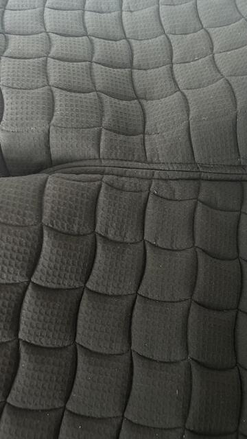 Tapis de dressage bleu marine