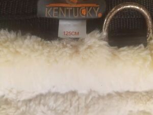 Sangle mouton Kentucky