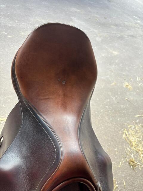 Selle prestige Golden star