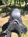 Selle de dressage Childéric