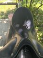 Selle de dressage Childéric