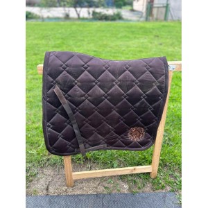 ensemble de dressage