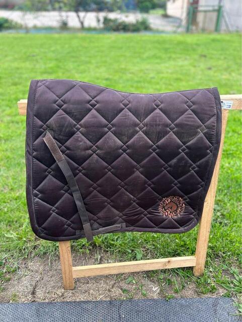 ensemble de dressage