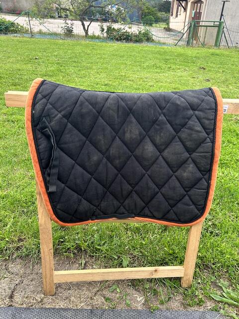 tapis de dressage