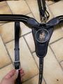 Collier de chasse HV polo