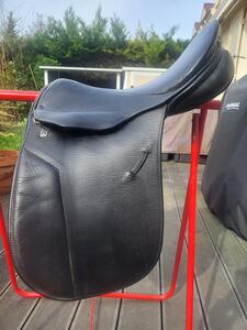 Selle stubben dressage