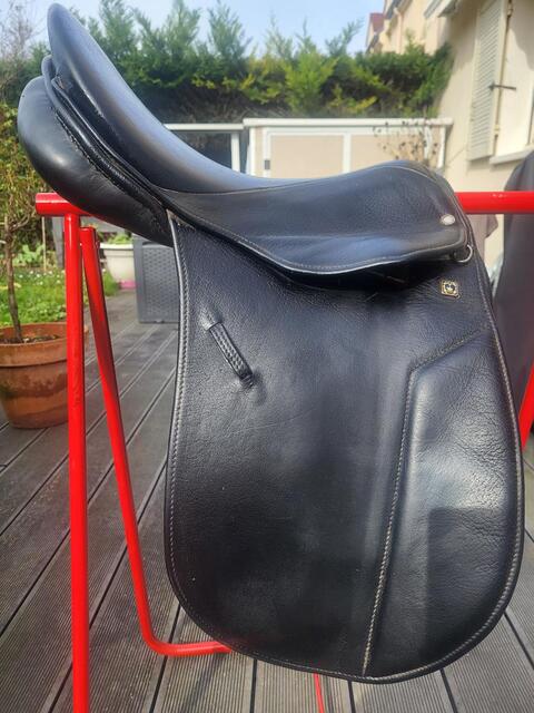 Selle stubben dressage
