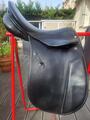 Selle stubben dressage