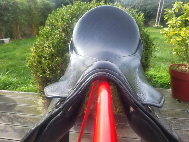 Selle stubben dressage