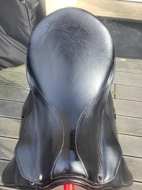 Selle stubben dressage