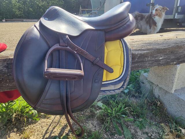 Selle CWD