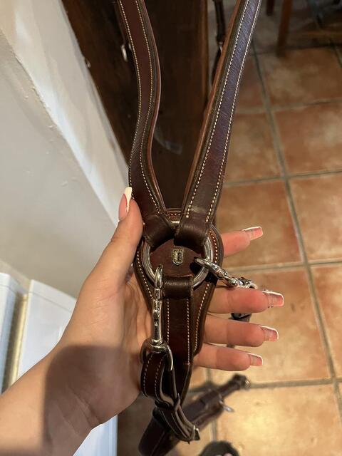 collier de chasse