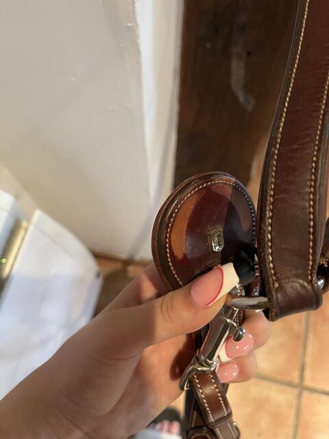 collier de chasse