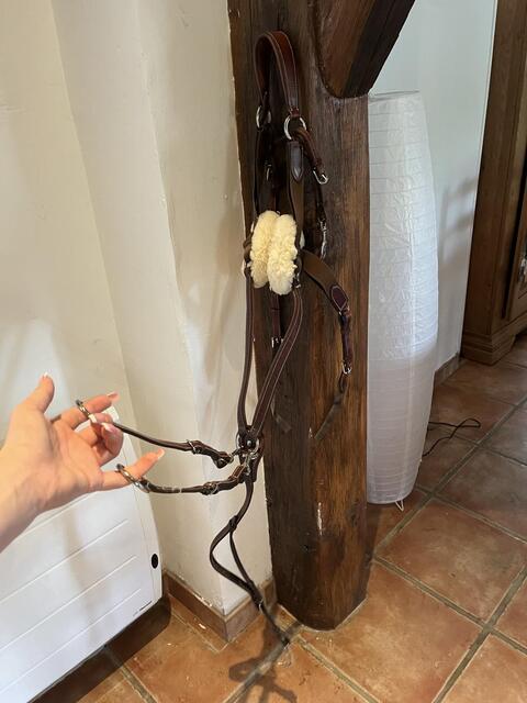 collier de chasse