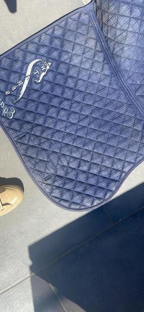 Tapis antares
