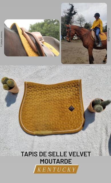 Tapis Kentucky velvet moutarde