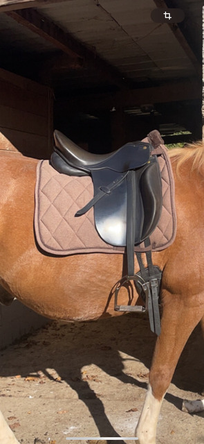 Selle Henri de Rivel