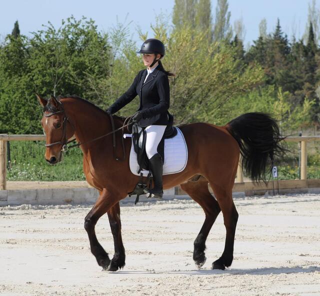 Veste de concours Penelope Leprévost t38
