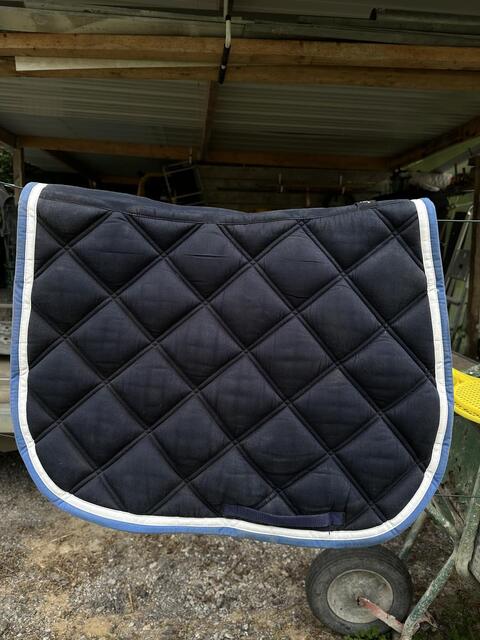 Tapis Silver Crown