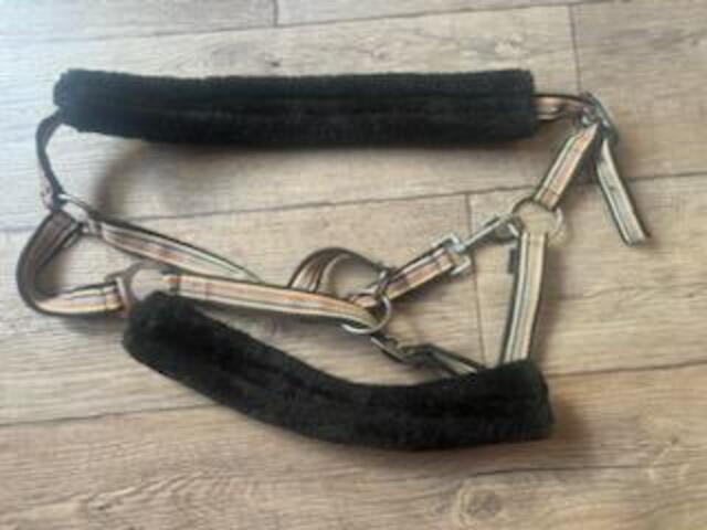 Licol cheval