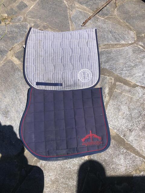 tapis veredus