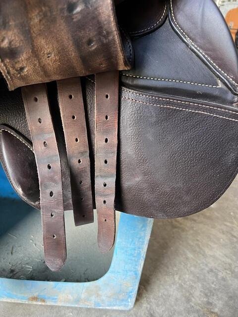 Selle GBS