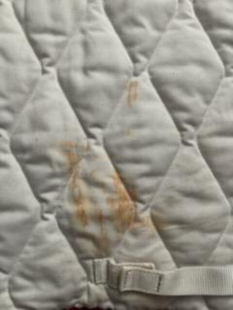 Tapis cheval