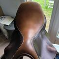 Selle Lucerne