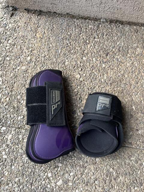Protections violettes
