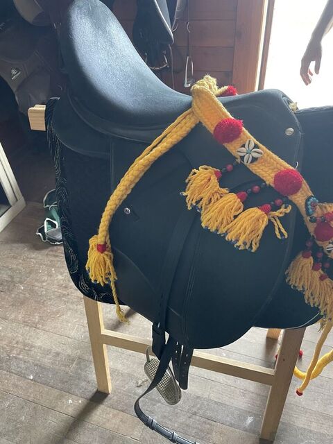 Selle Dressage Wintec ISABELLE WERTH