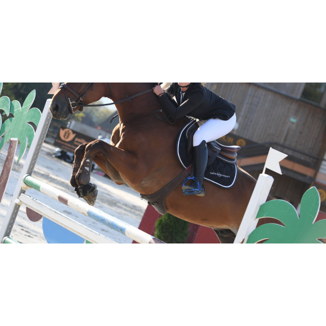 Selle CWD