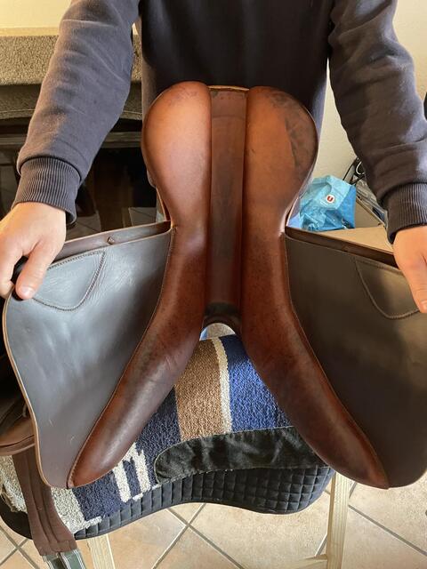 Selle forestier 17,5p