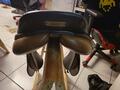 Selle Terry's
