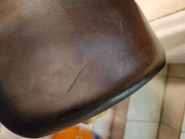 Selle Terry's