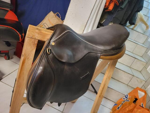 Selle Terry's