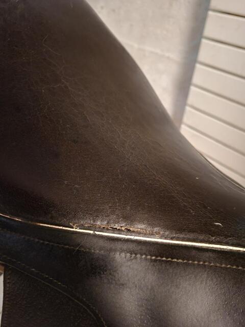 Selle Terry's