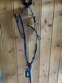 Collier de chasse et martingale