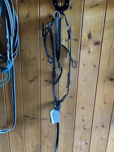 Collier de chasse et martingale