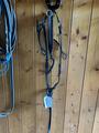 Collier de chasse et martingale