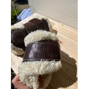Protections mouton Kentucky
