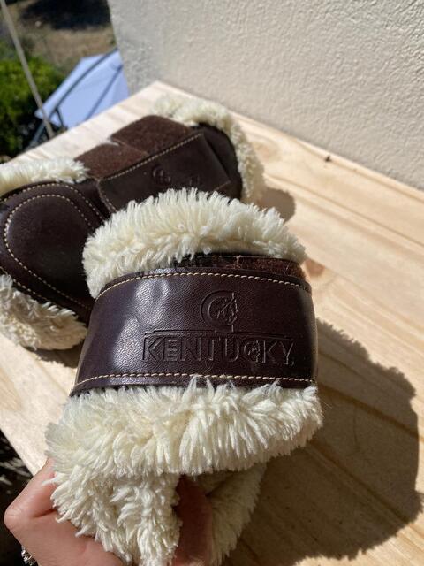 Protections mouton Kentucky