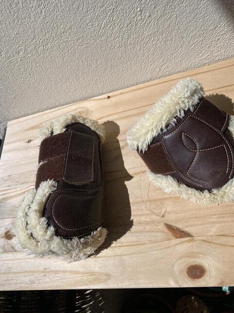 Protections mouton Kentucky