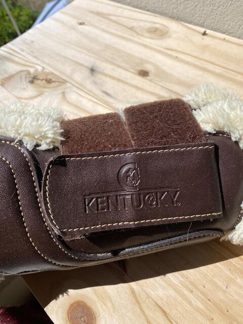 Protections mouton Kentucky