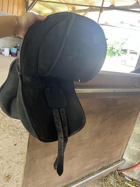 SELLE WINTEC 17’