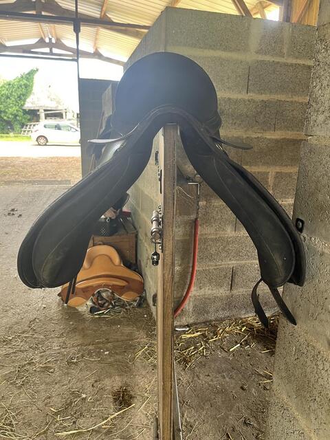 SELLE WINTEC 17’